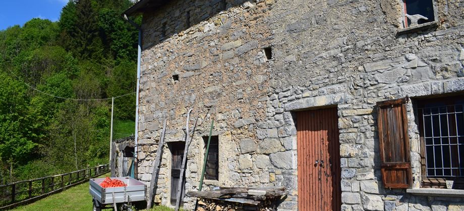 Oltre il Colle-Zorzone, introvabile porzione di rustico con terreno