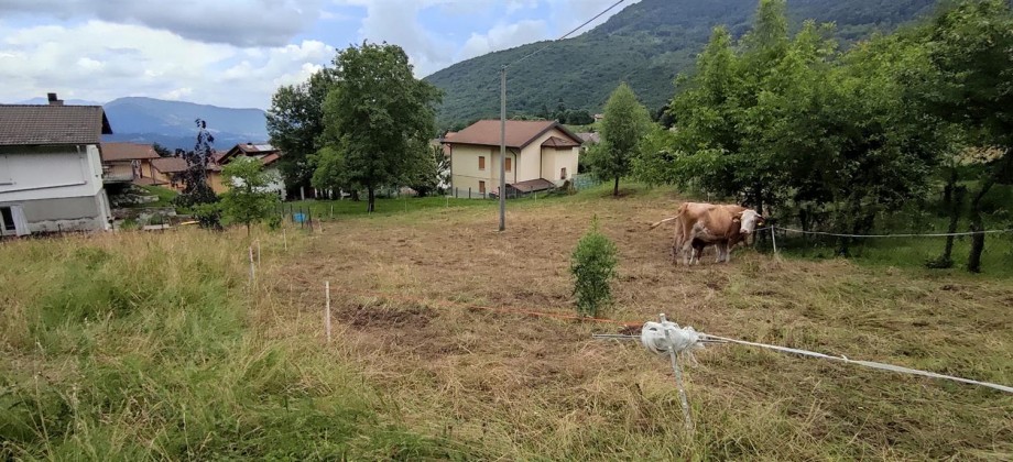 Sant Omobono Terme vendesi lotto di terreno