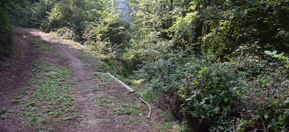 Selvino vicinanze, in posizione panoramica e servita terreno agricolo