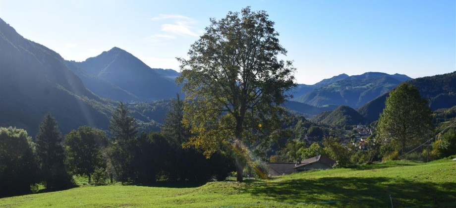 Serina-Corone, terreno edificabile servitissimo