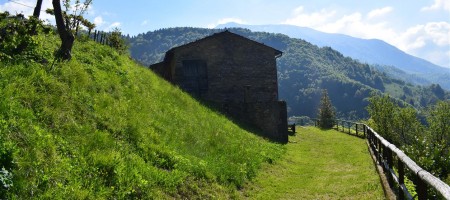 Oltre il Colle, immerso nel verde, porzione di rustico servito da tutto